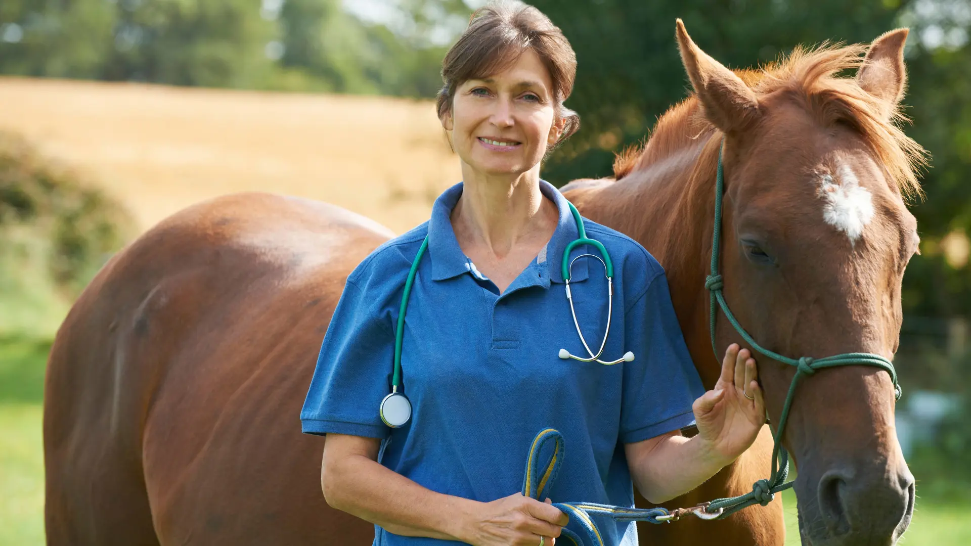 Kvindelig dyrelæge i blåt tøj holder en brun hest 